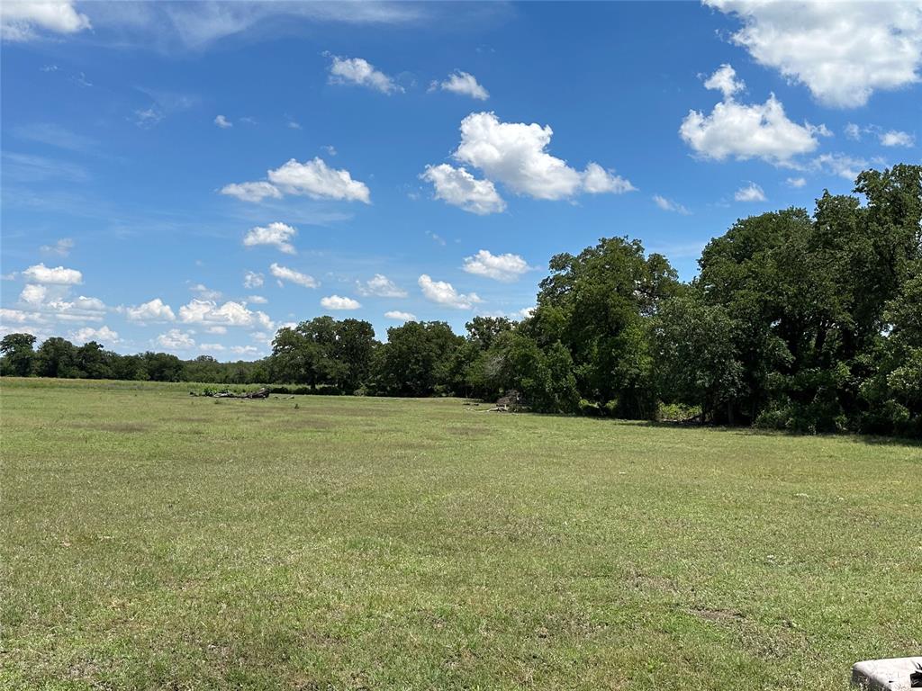 a view of a field with an ocean