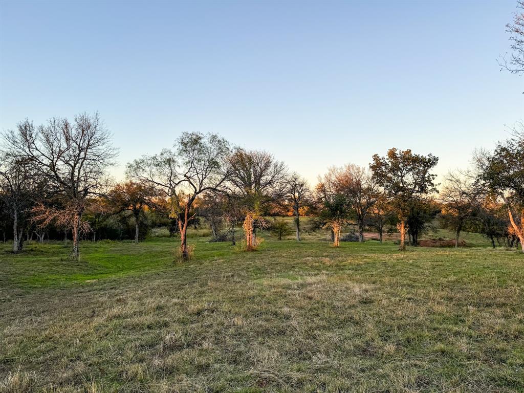 a view of a park with large trees