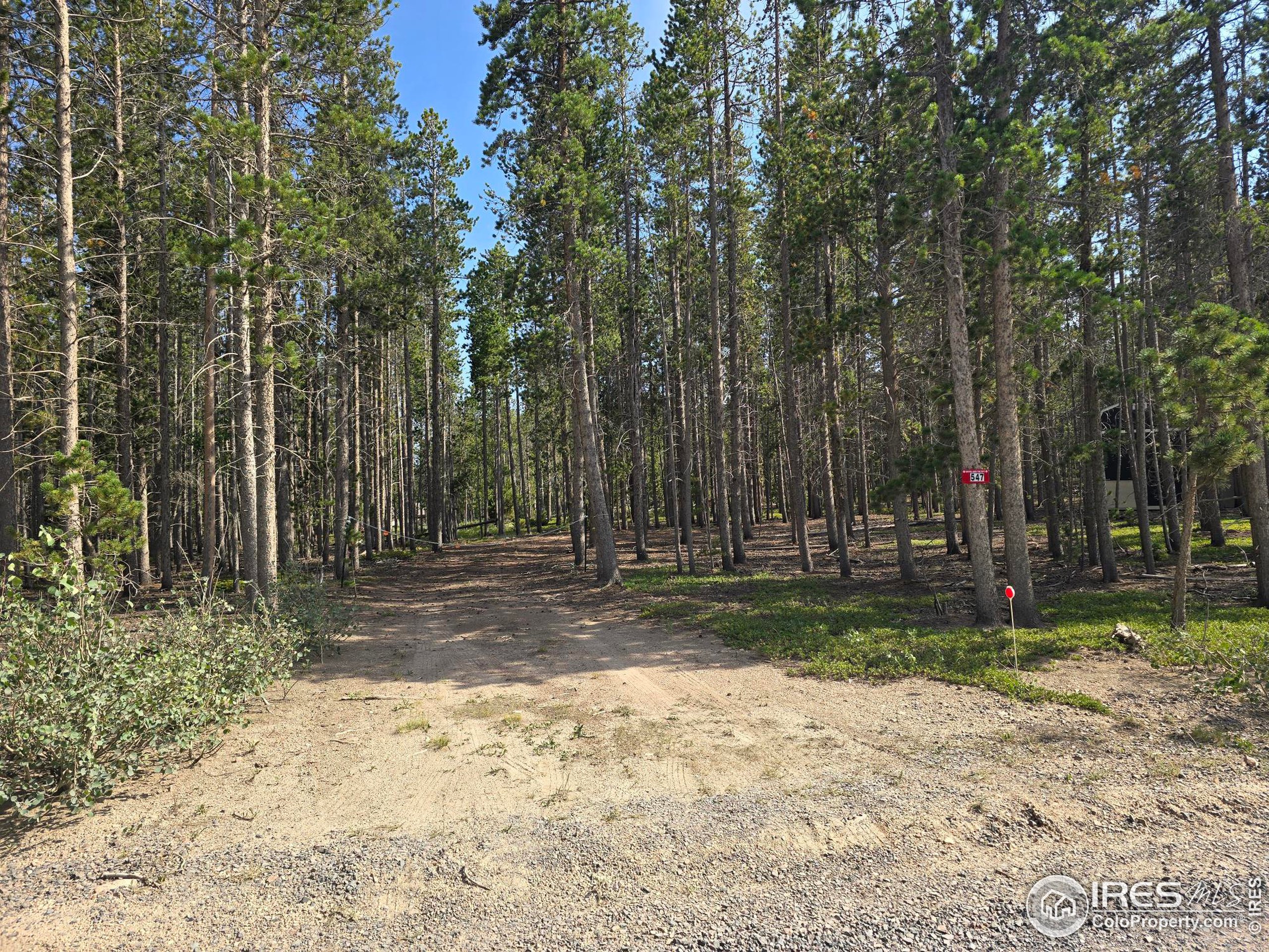 a view of a yard with trees