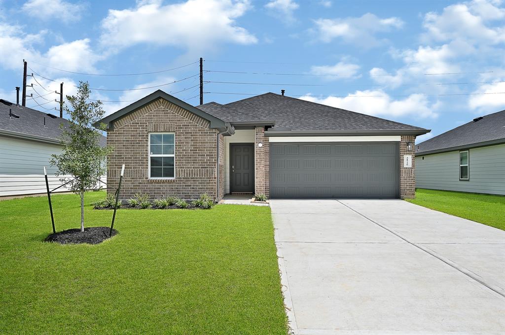 a view of backyard with a garden and entertaining space