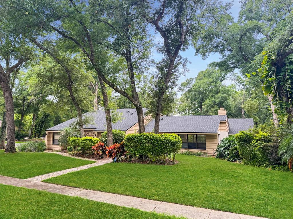 a view of a back yard