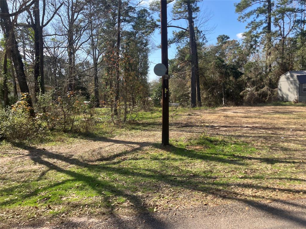 a view of a yard with tree s