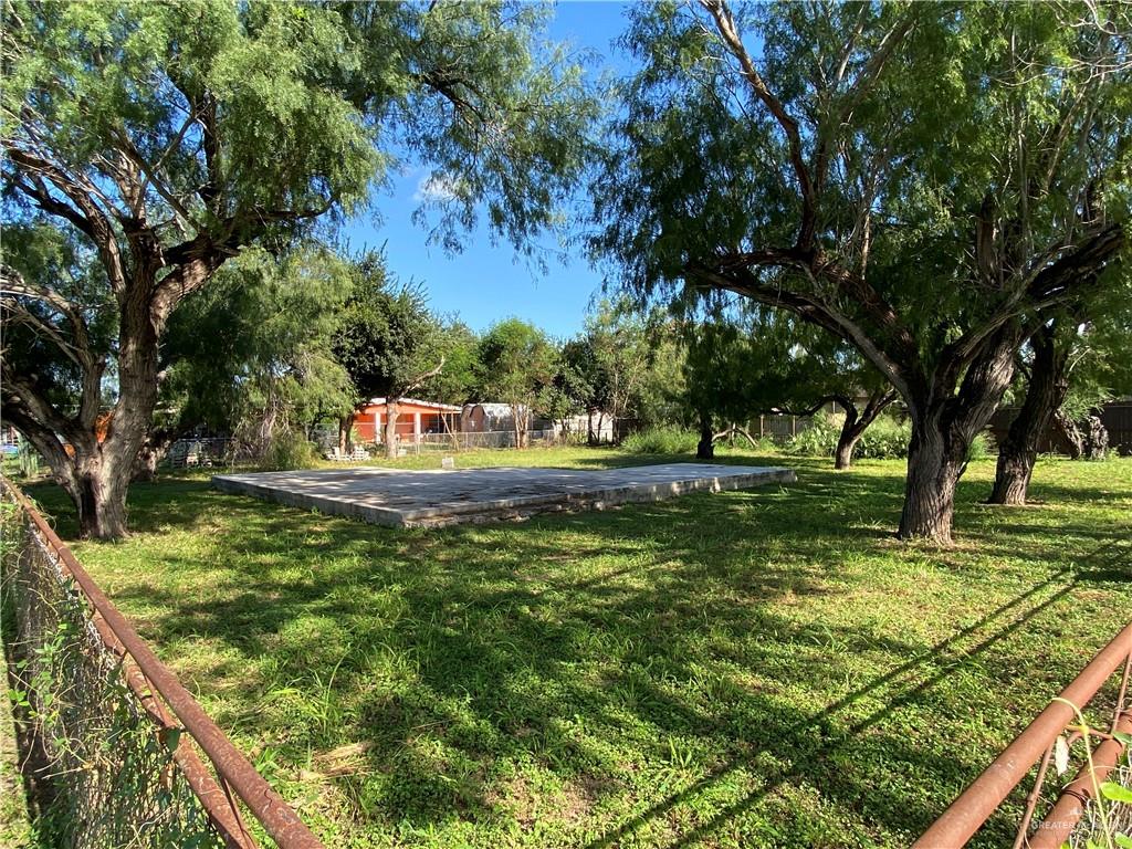 a view of a yard with large trees