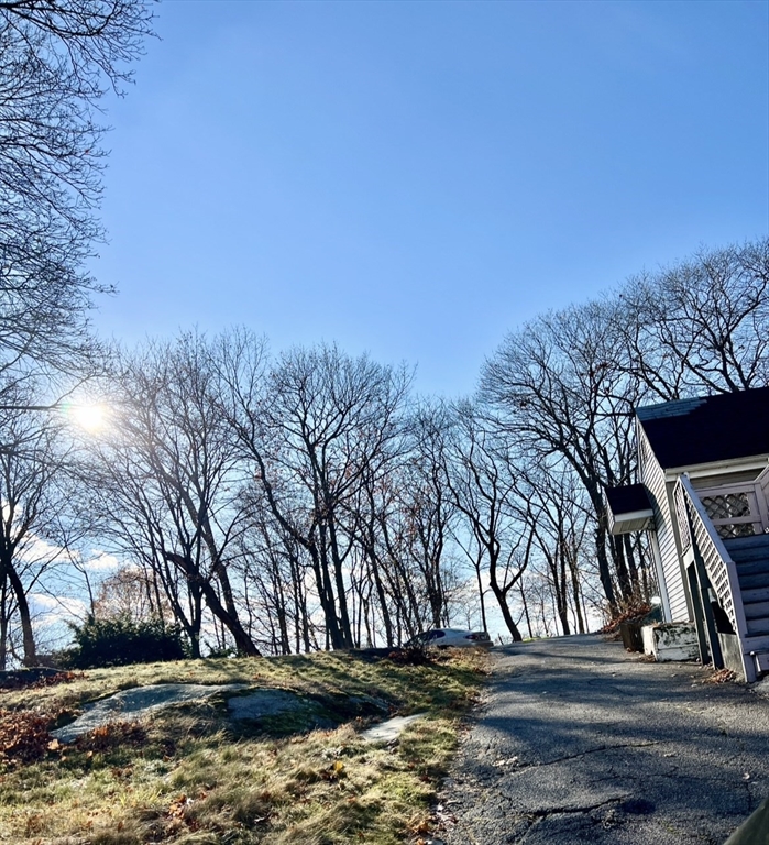 a view of yard with tree in the background