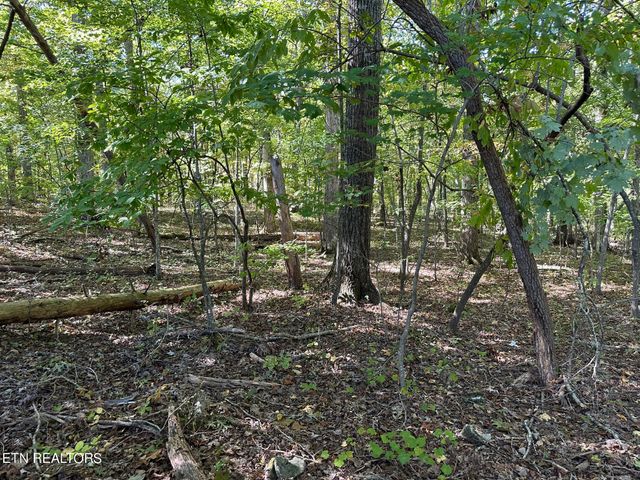 $40,000 | Lot411-412 Lot411-412 Smith Rd Spring | Spring City