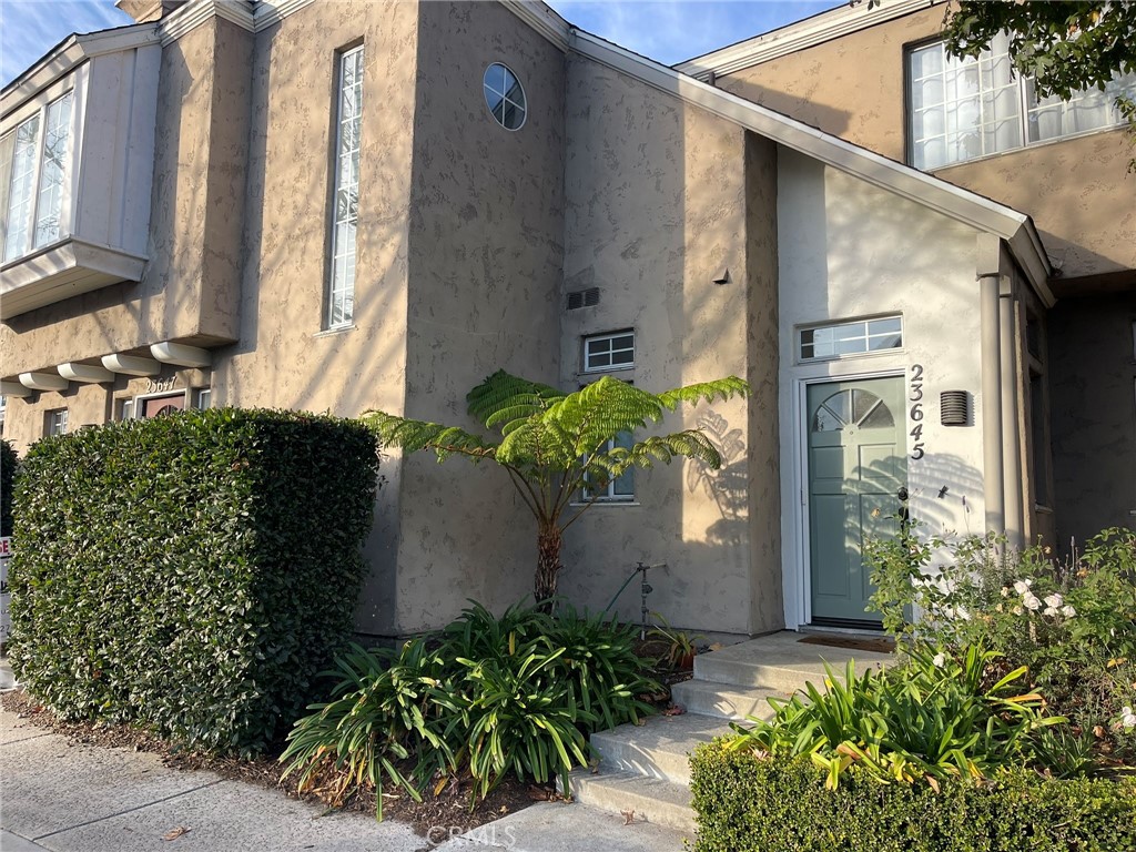 a potted plant sitting in front of a house