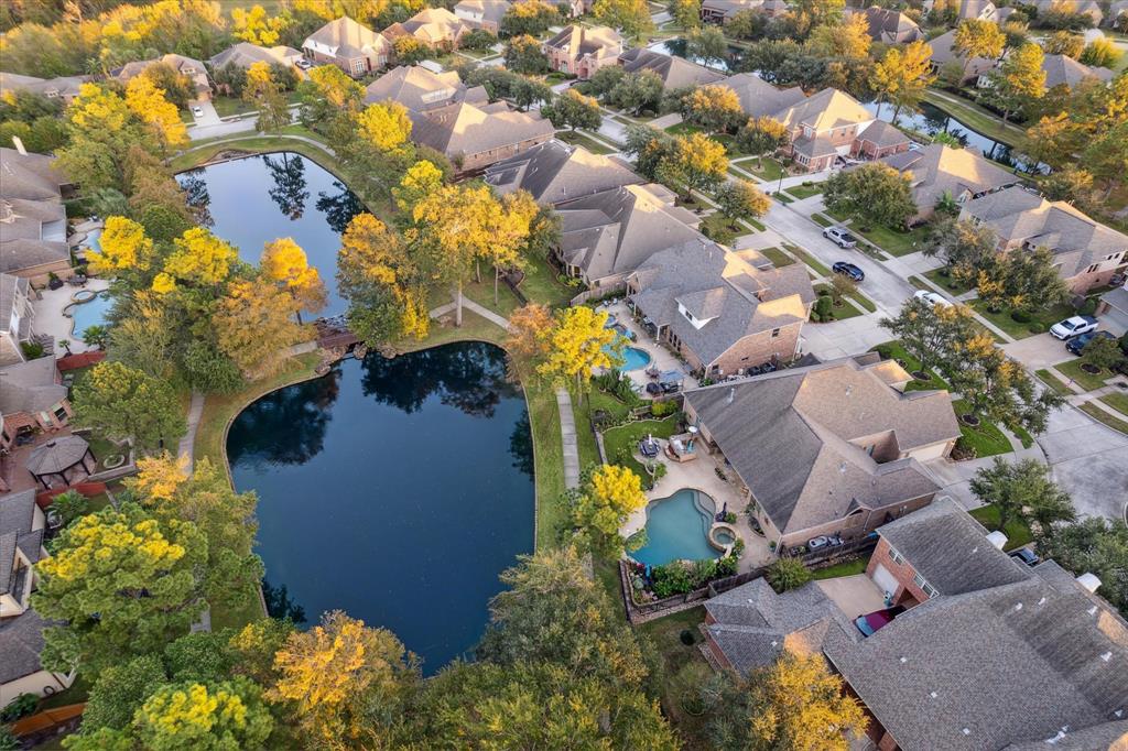 a view of a yard