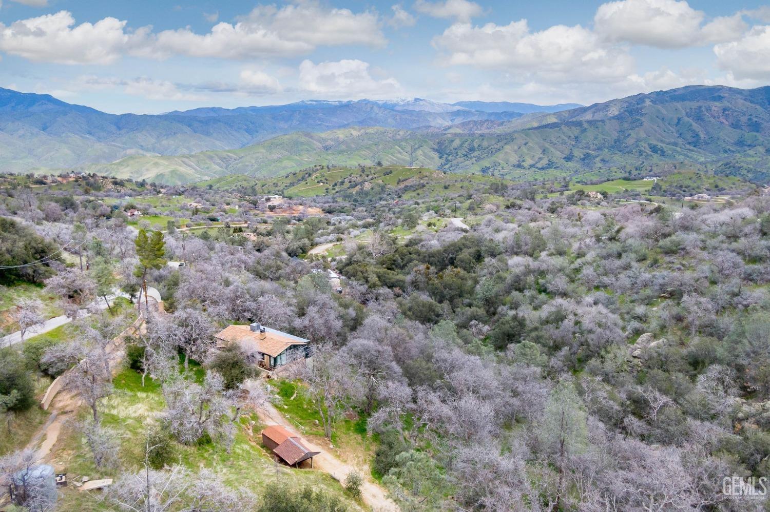 a view of a lot of trees and houses