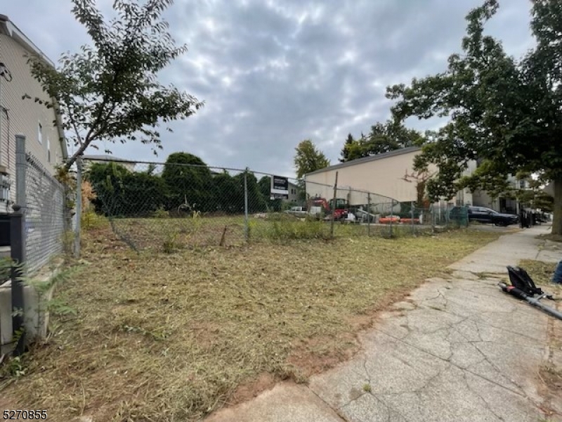 a view of yard with tree