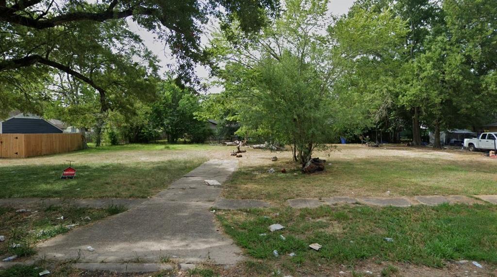 a view of a park with a tree