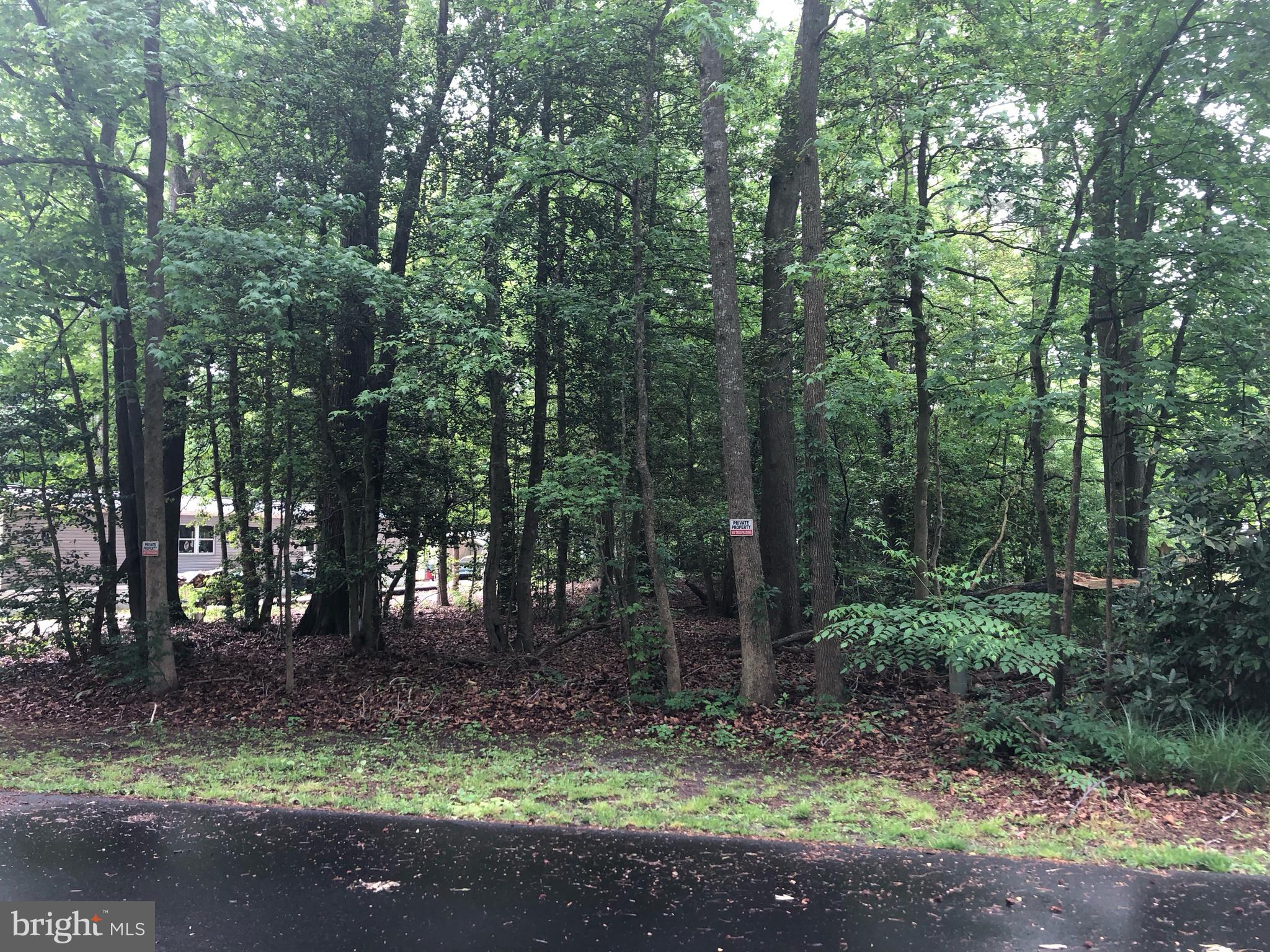 a view of outdoor space with trees