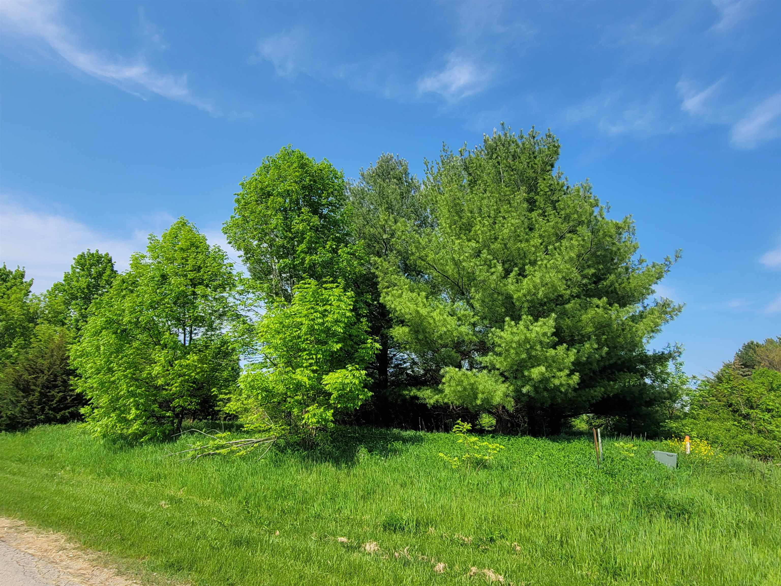 a view of a garden with a tree in the background