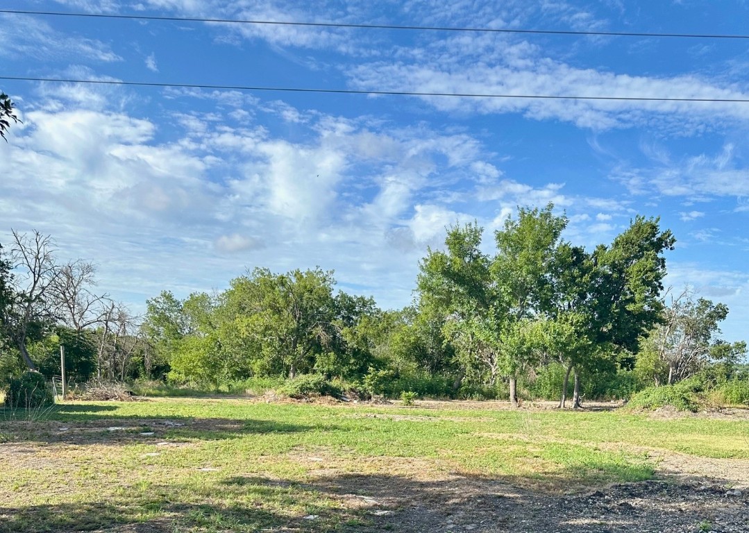 a view of a big yard with large trees