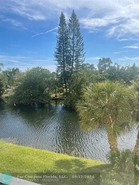 a view of a lake from a yard