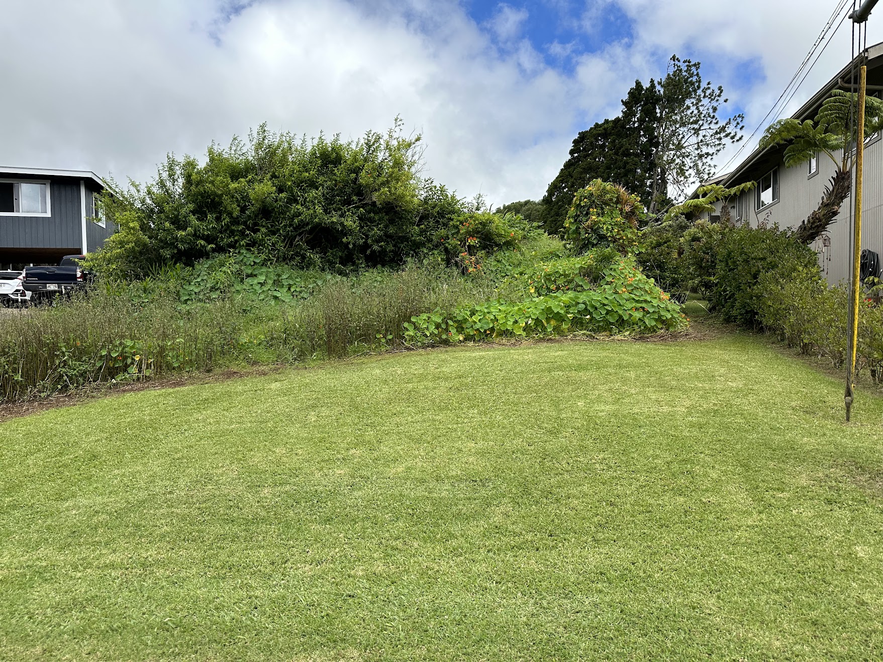 a view of an outdoor space and a yard