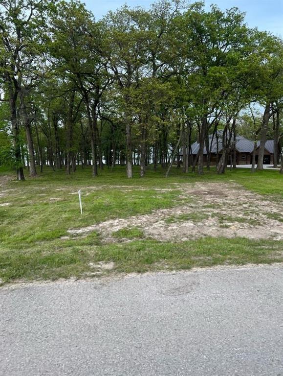 a view of a tree in front of a house with a big yard