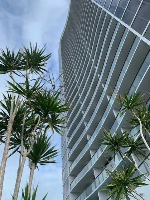 a view of a palm plant with a tree