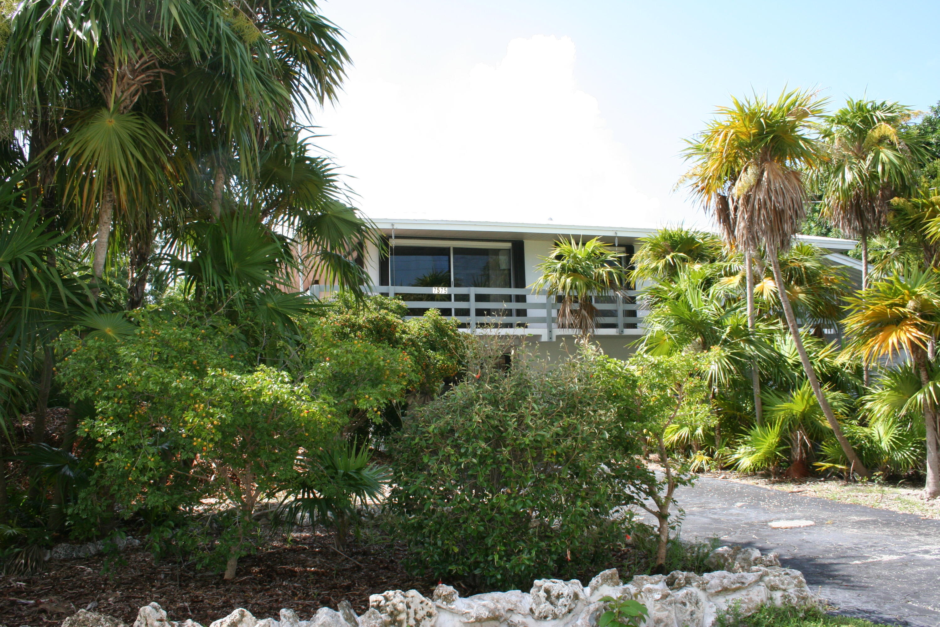 a view of backyard with plants and outdoor seating