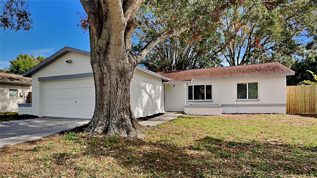 a view of a house with backyard and a tree