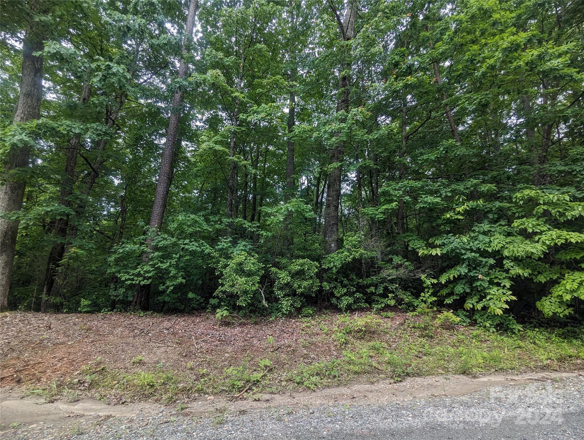 a view of a yard with a tree