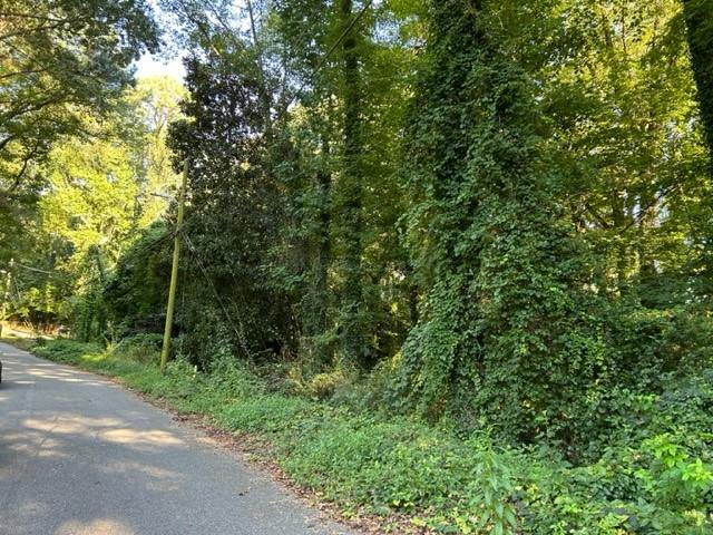 a view of a forest with a tree in the background