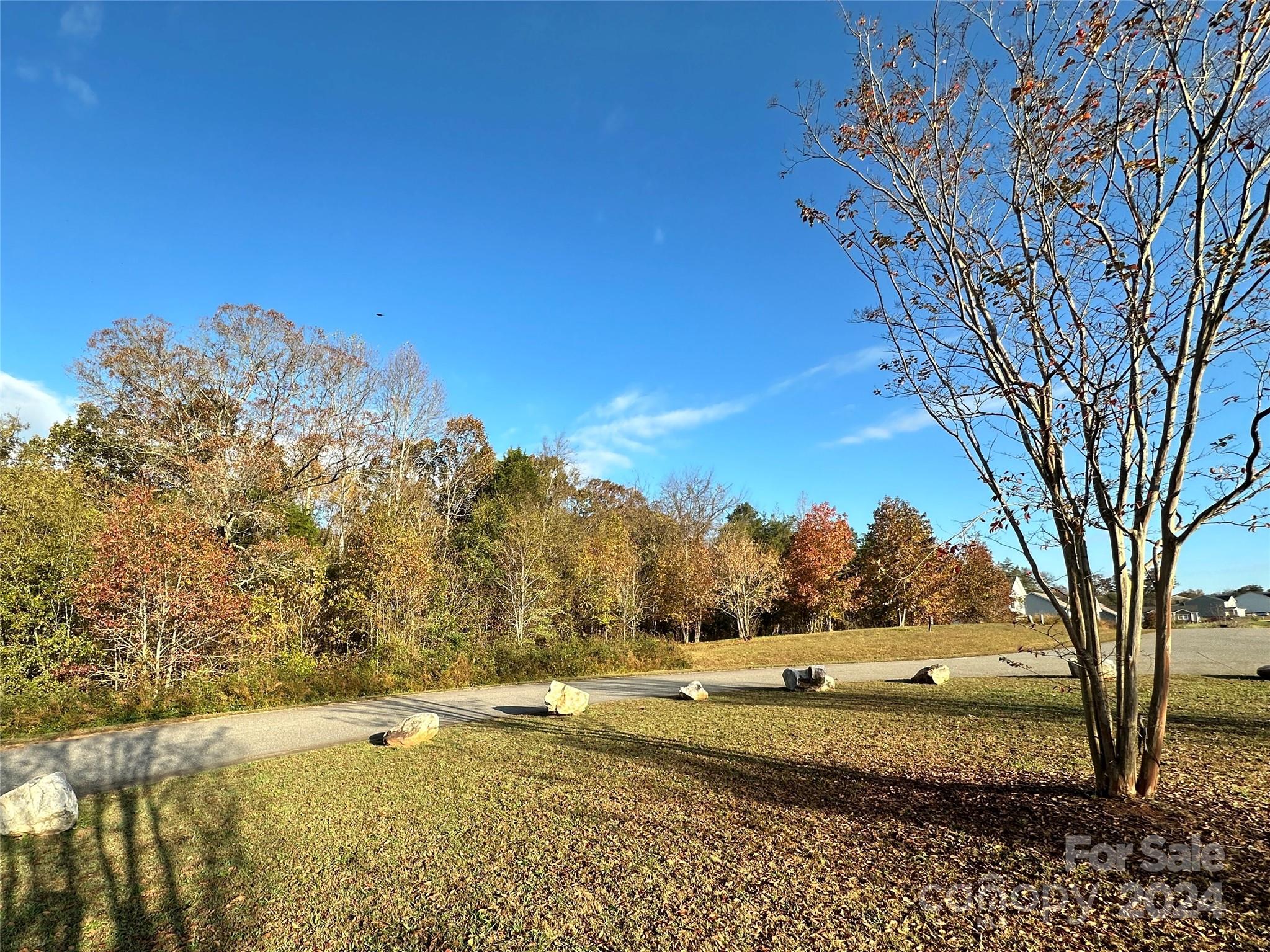 a view of a yard with an trees