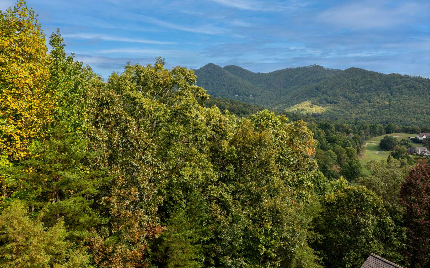 a view of a mountain in the distance in a field