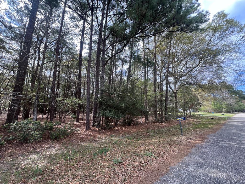 a view of outdoor space with trees