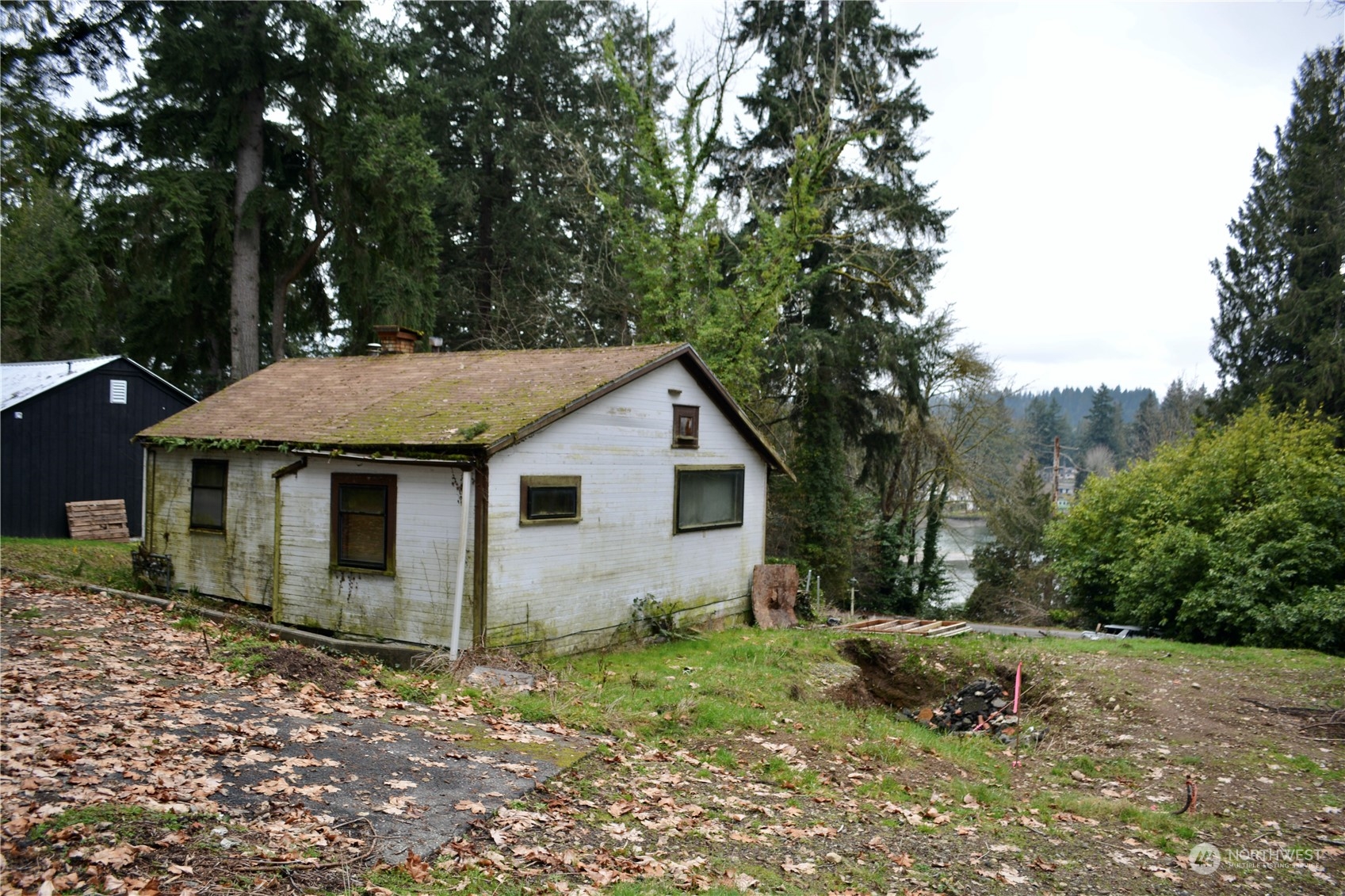 a backyard of a house with plants and tree