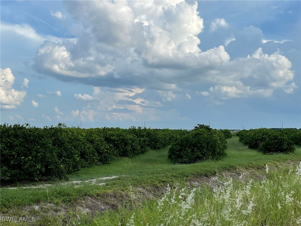 a view of a big yard and grassy field