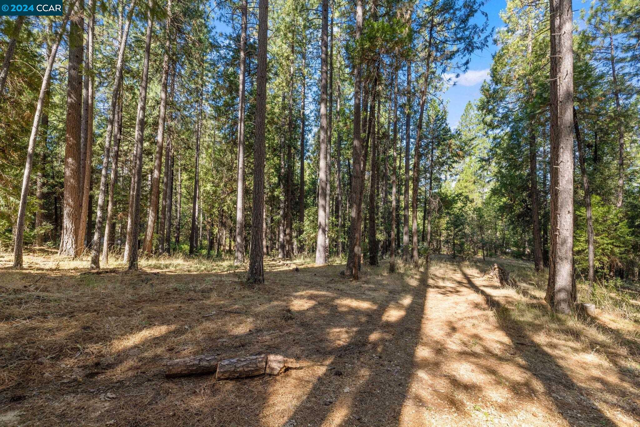 a view of outdoor space with trees