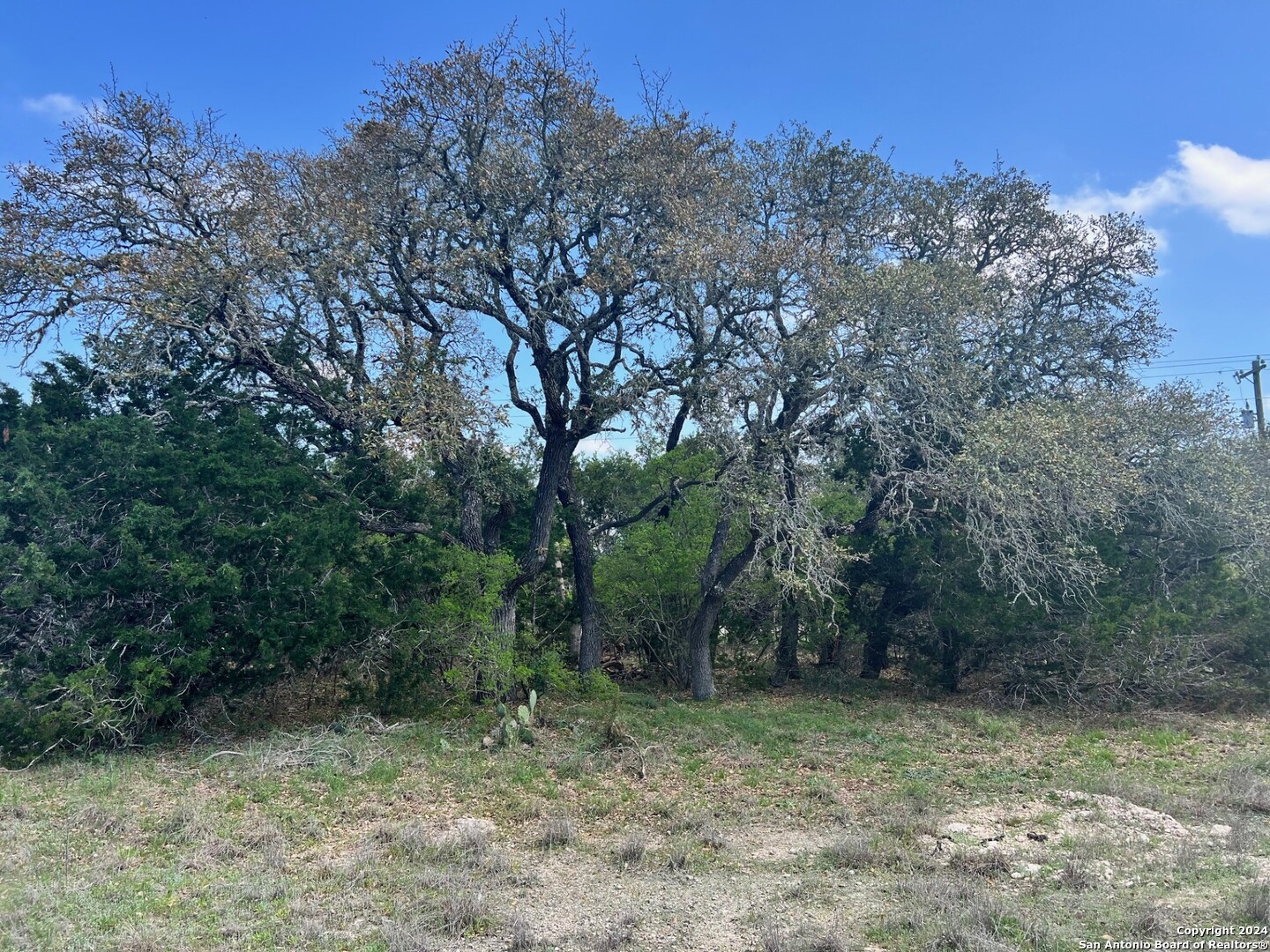 a view of a out door space area