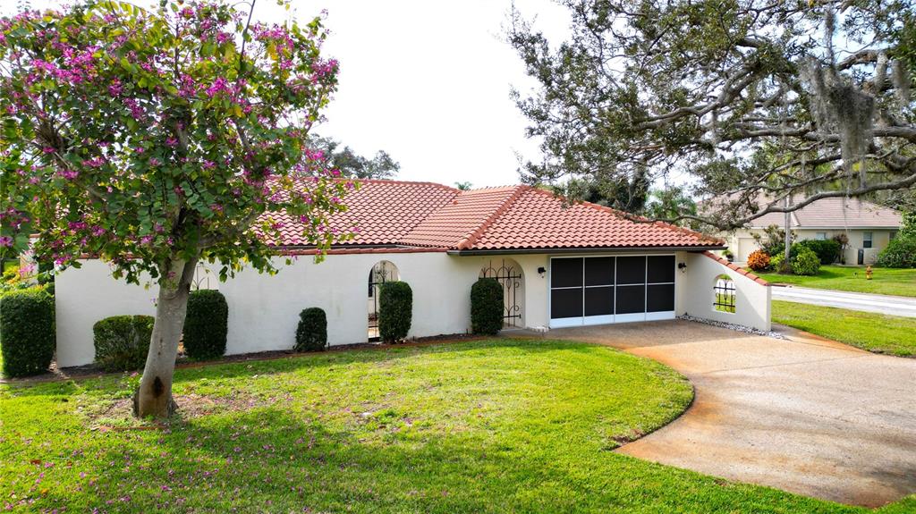 a view of a house with yard and tree s