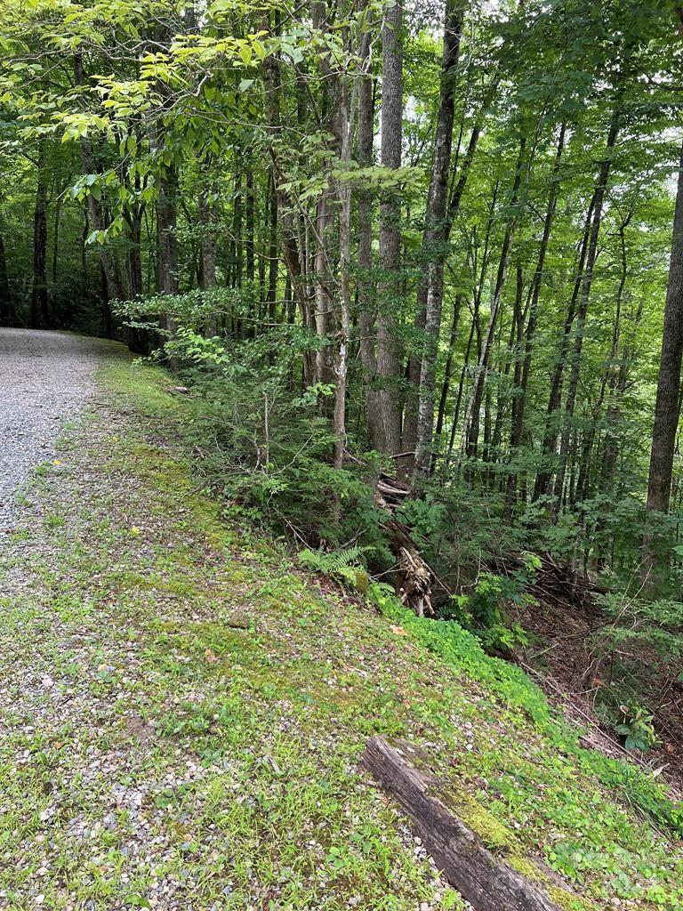 a view of outdoor space and green space