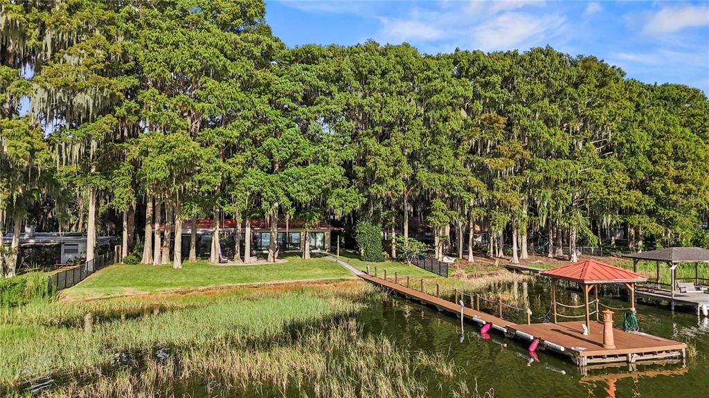 lush treed backyard for privacy