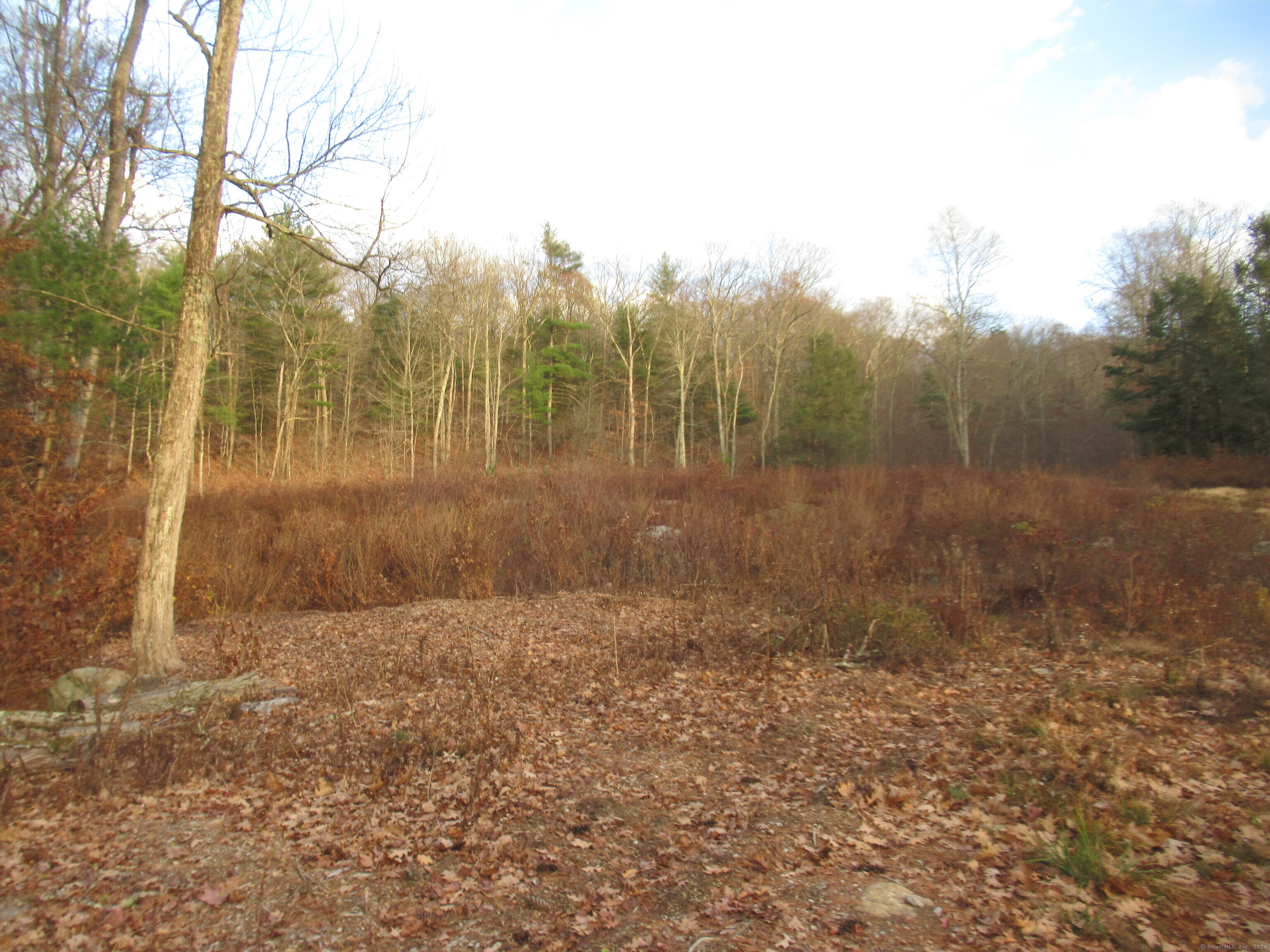 a view of outdoor space and yard