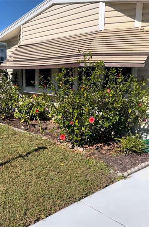 a view of a bunch of plants and flowers