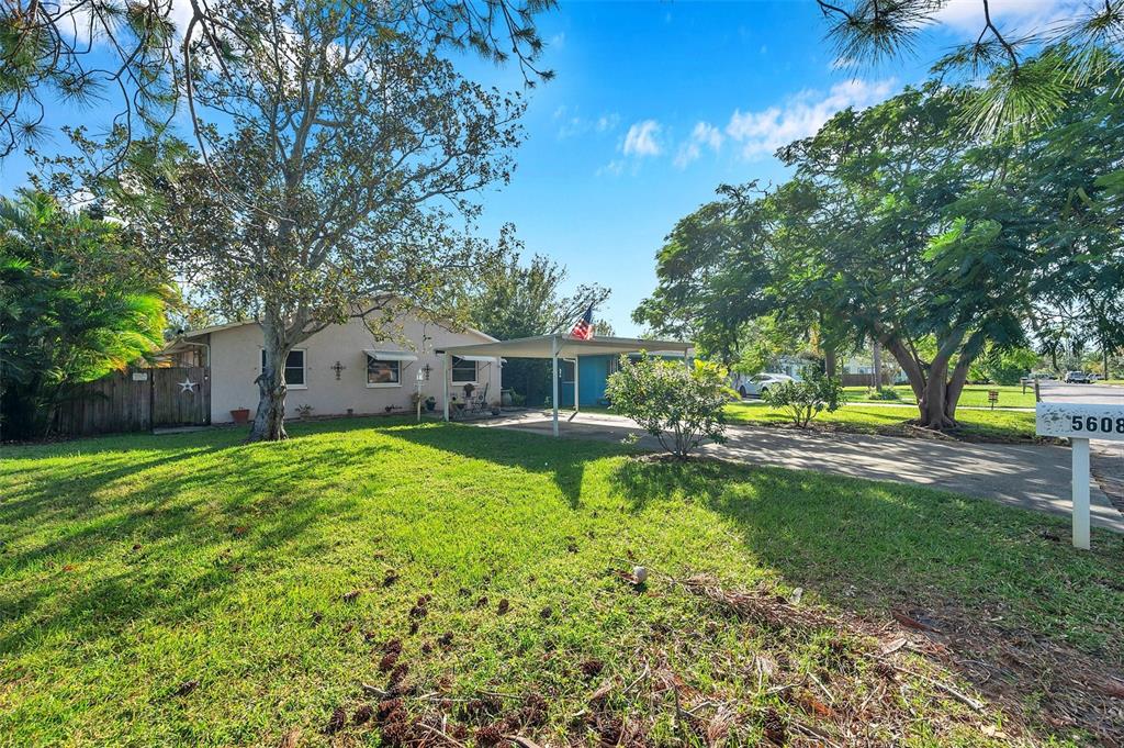 a view of a house with a yard patio and tree