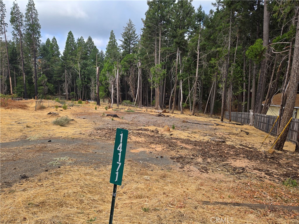 a view of a yard with trees