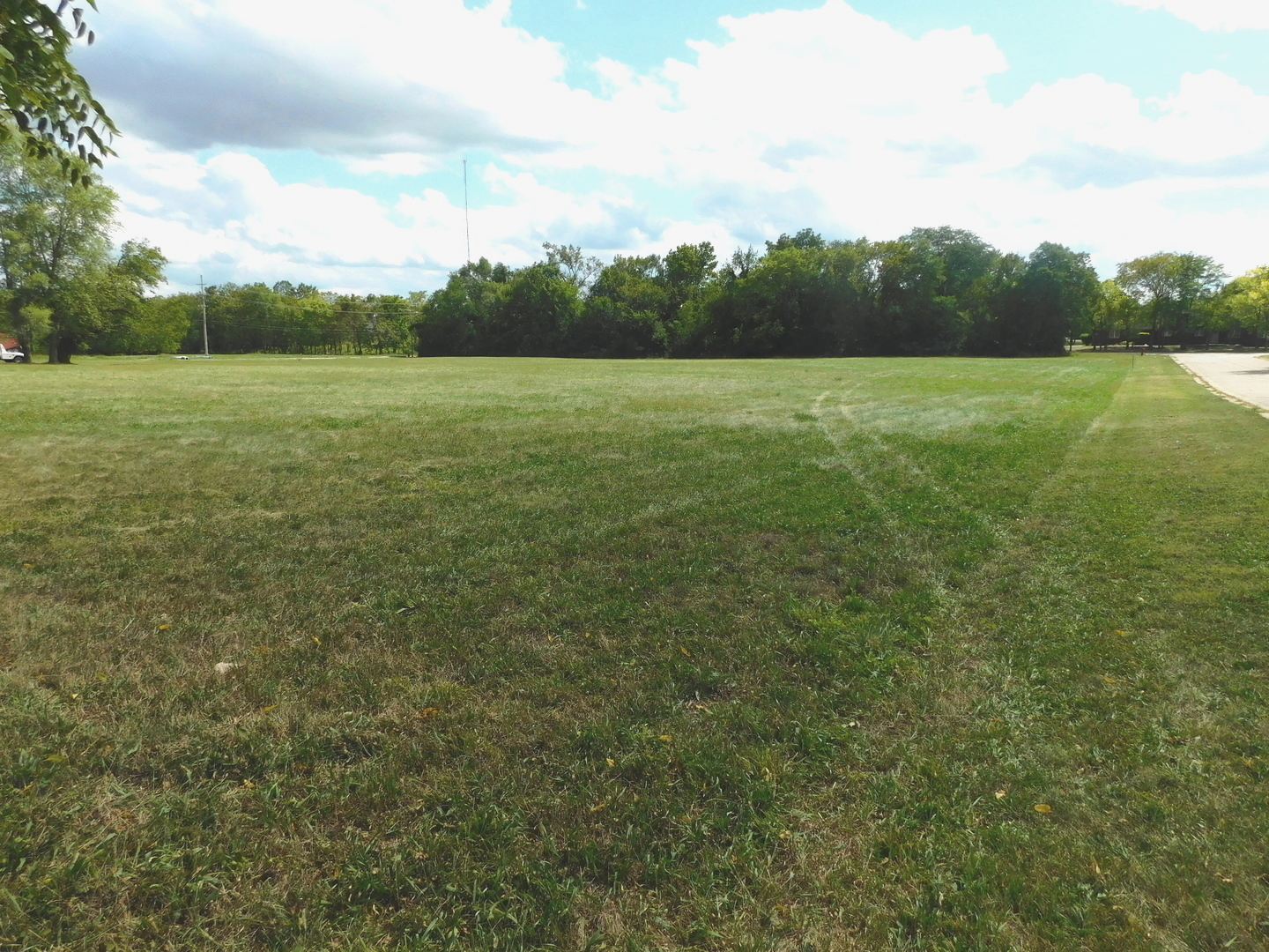 a view of a field with trees in the background