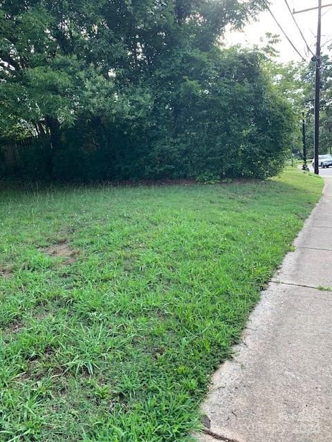 a view of yard with green space