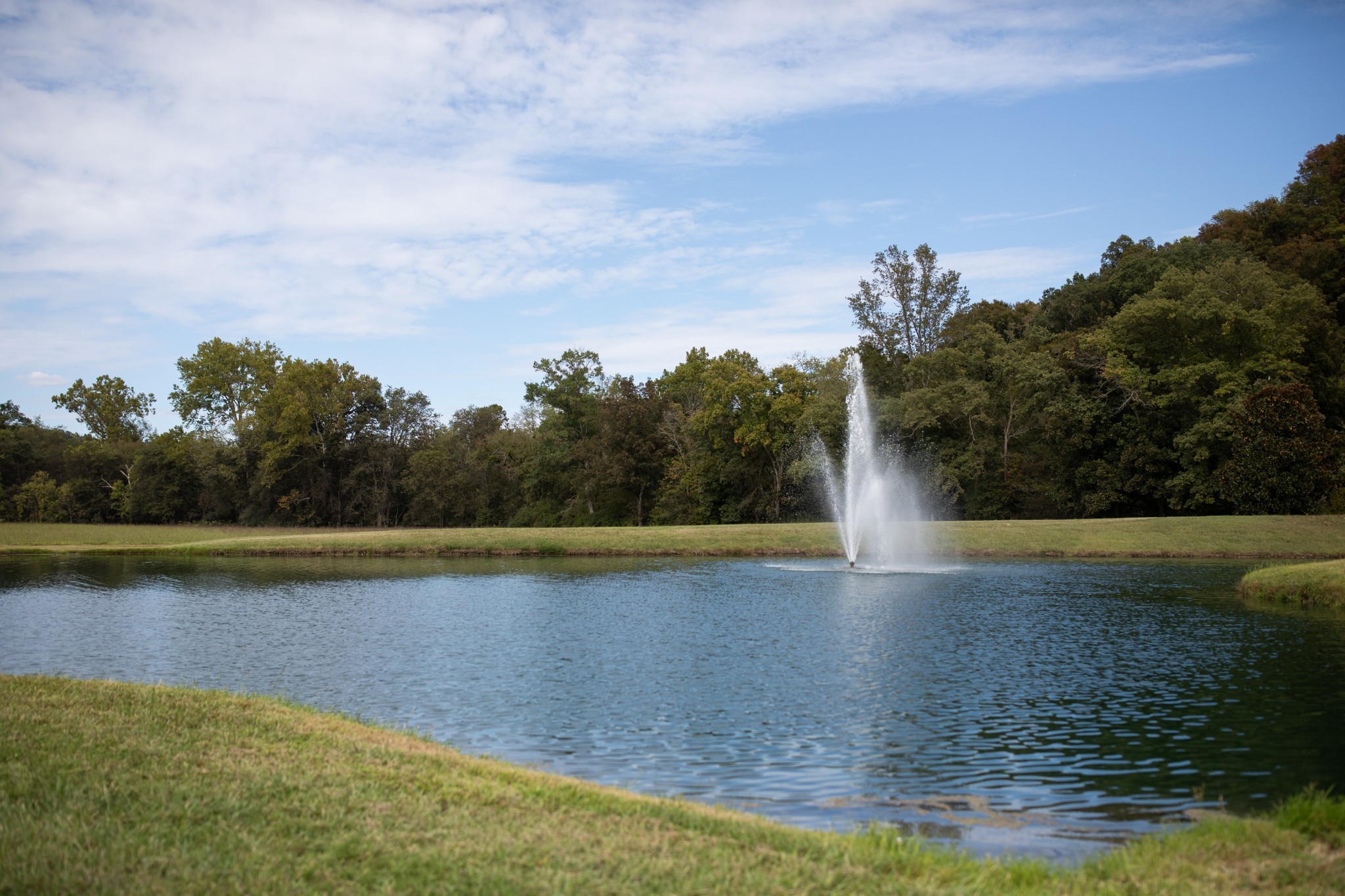 a view of a swimming pool and lake