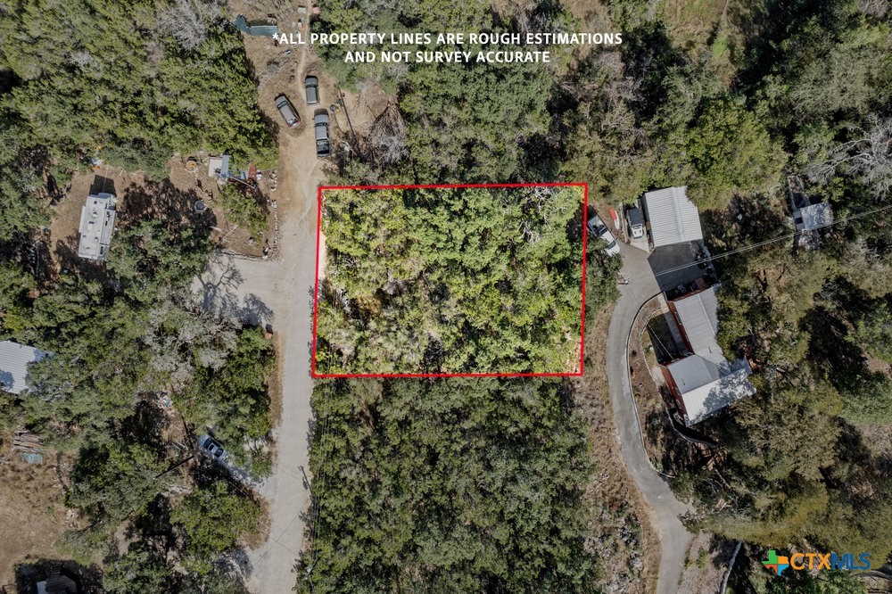 an aerial view of a house with a yard and large trees