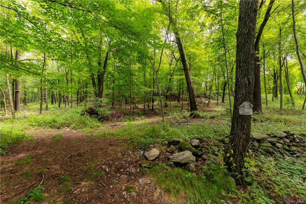 a view of outdoor space with lots of trees