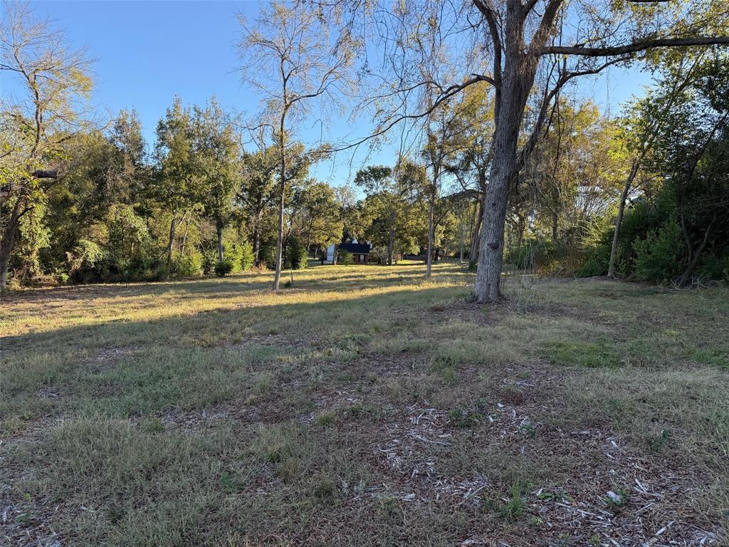 a view of a field with trees in the background