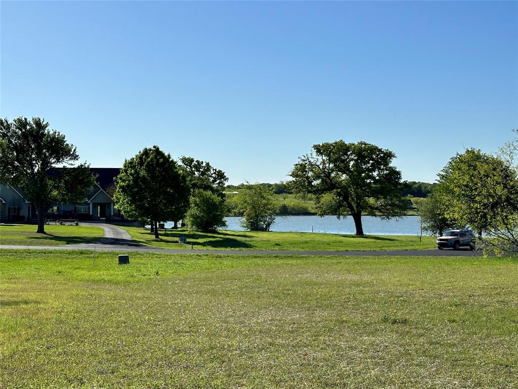 a view of a park with large trees