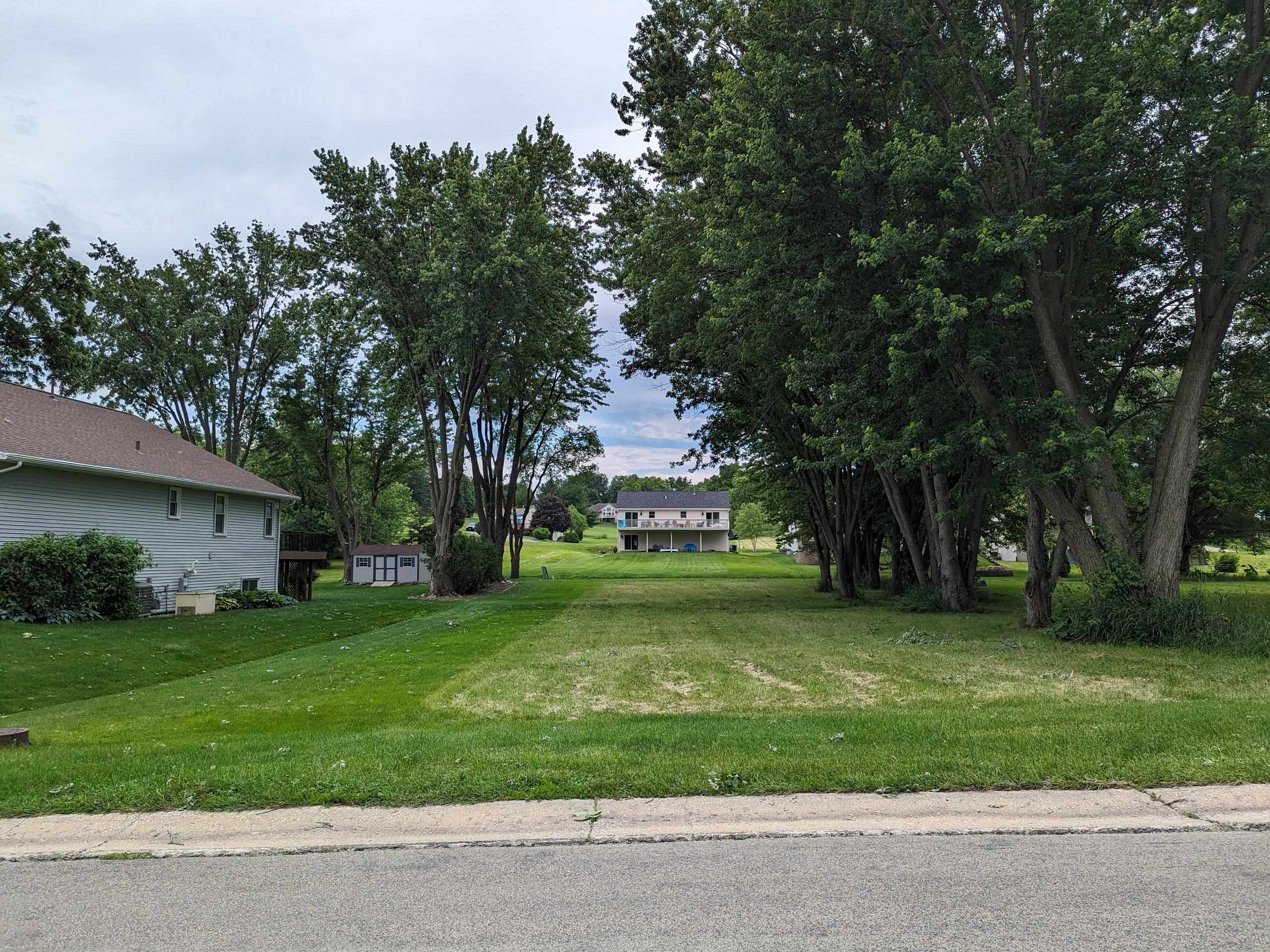 a view of a trees in a yard