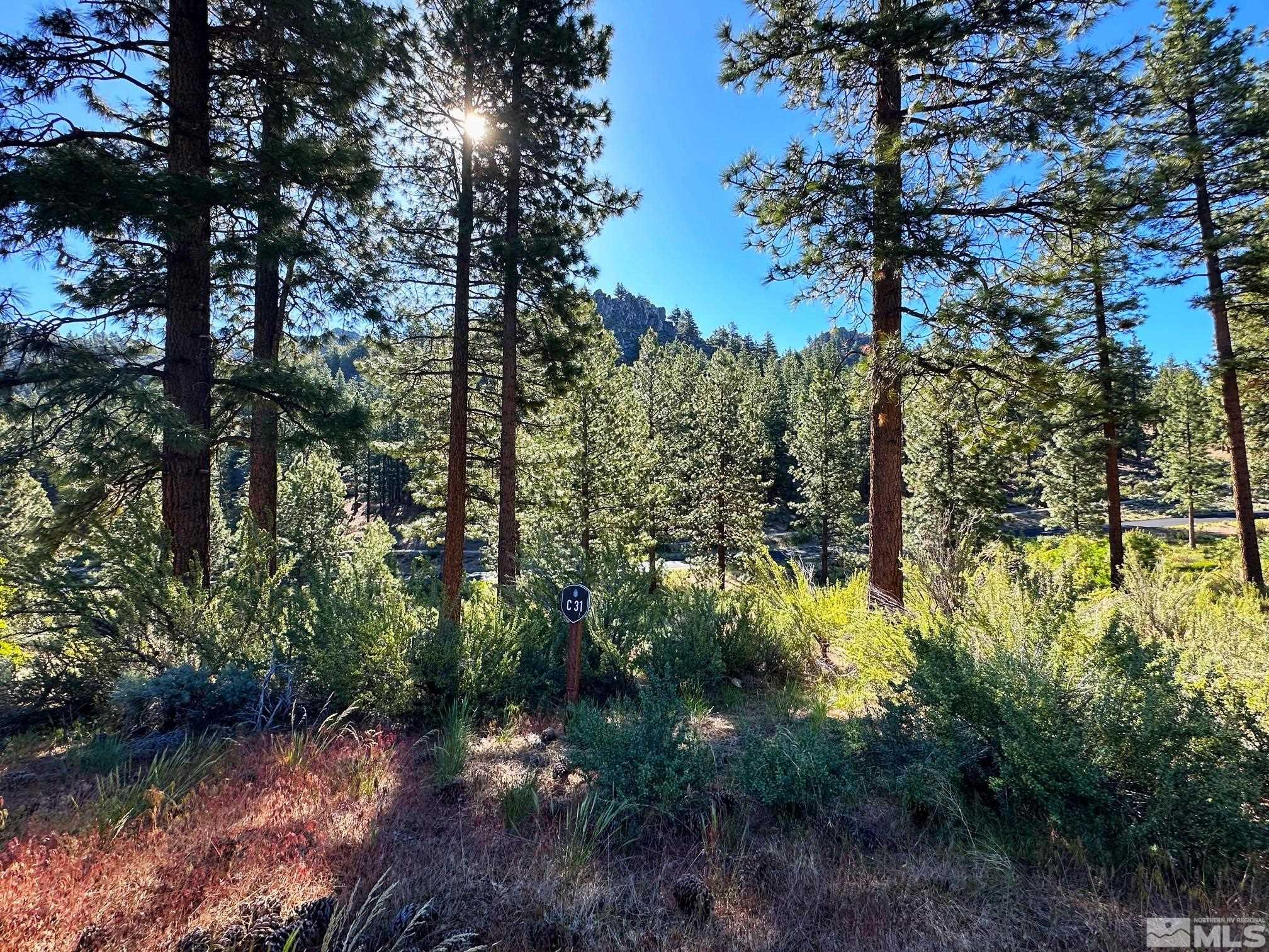 a view of a lake with lots of trees