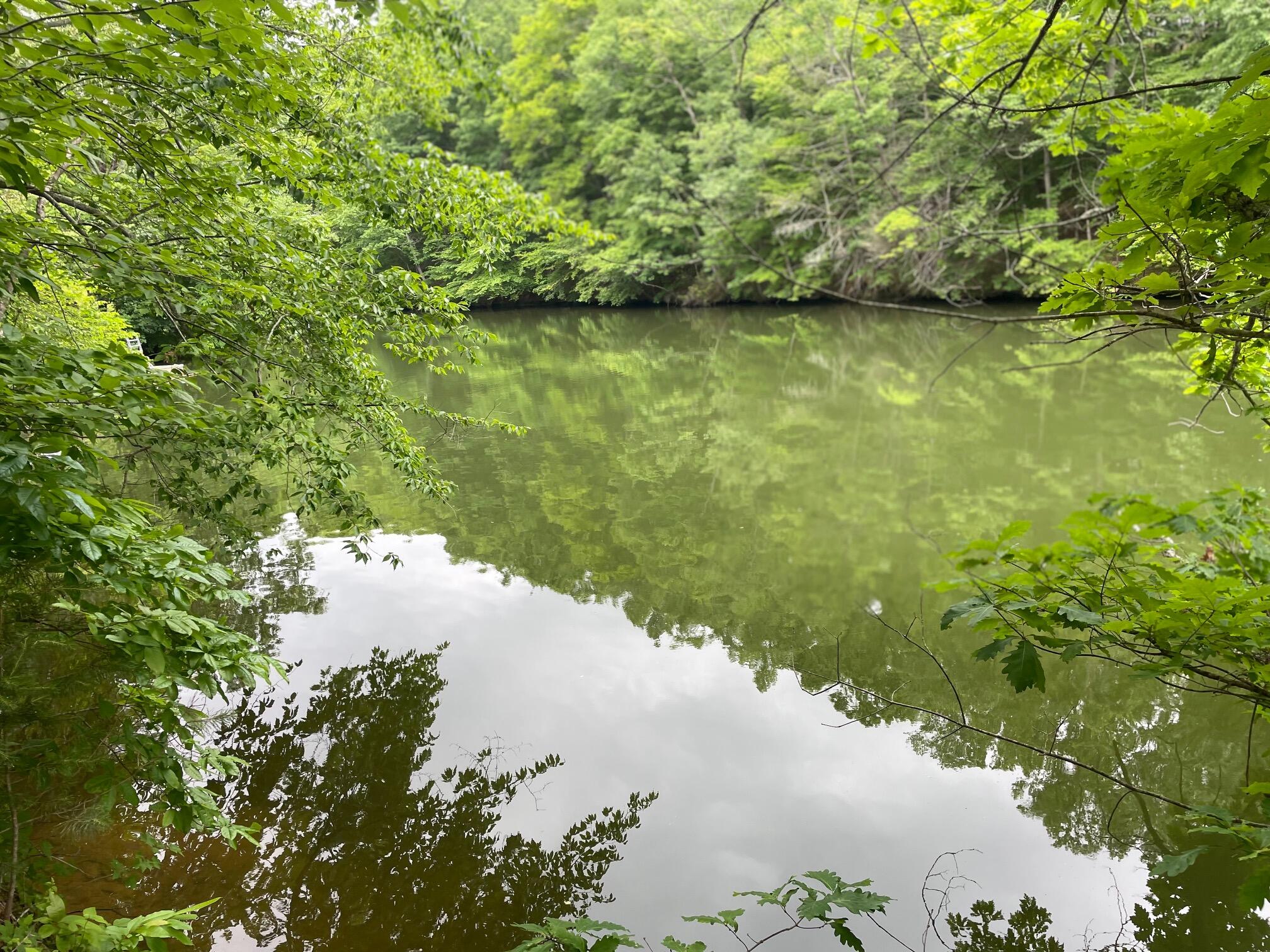 a view of lake