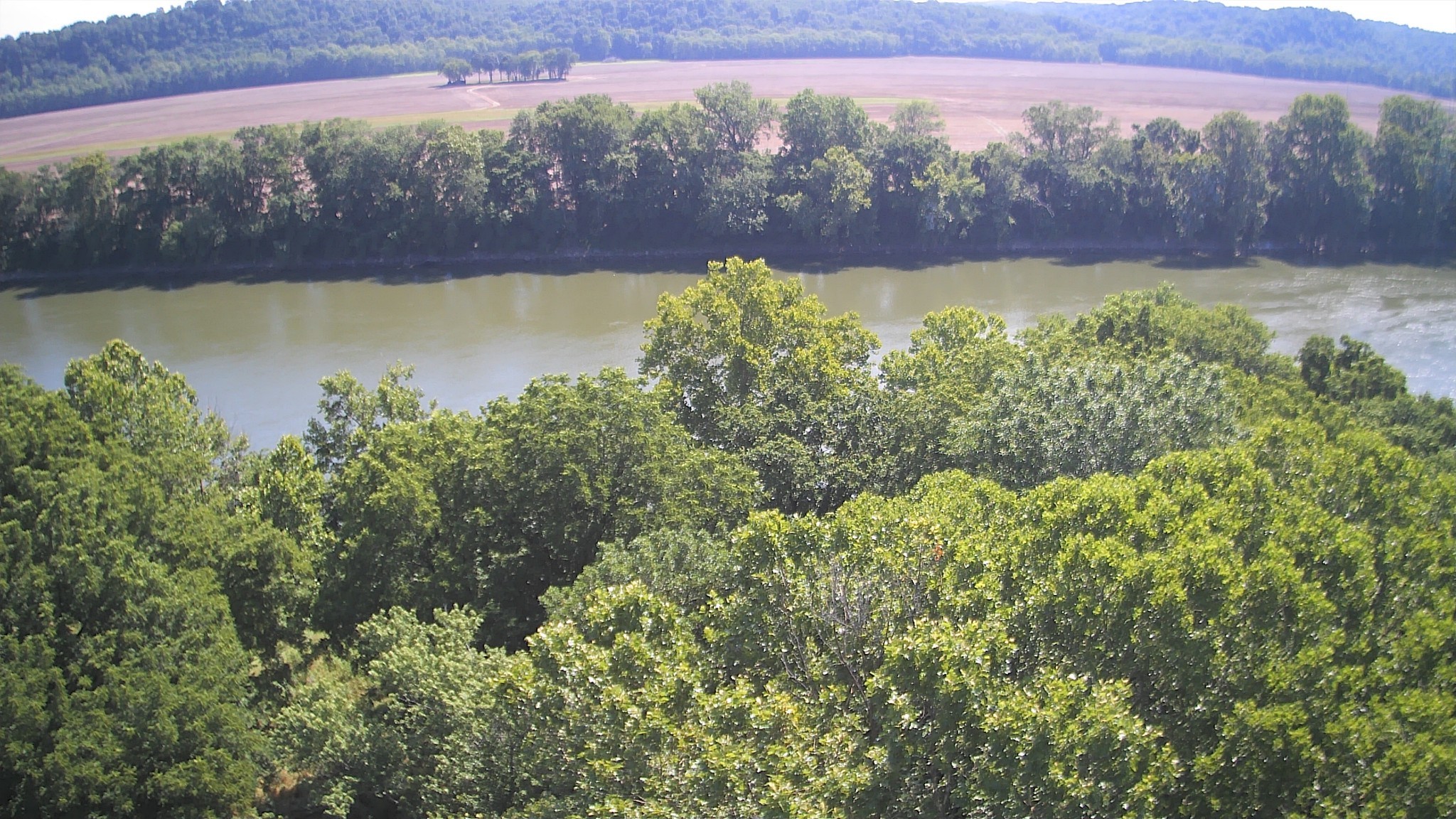 a view of a yard with a lake view